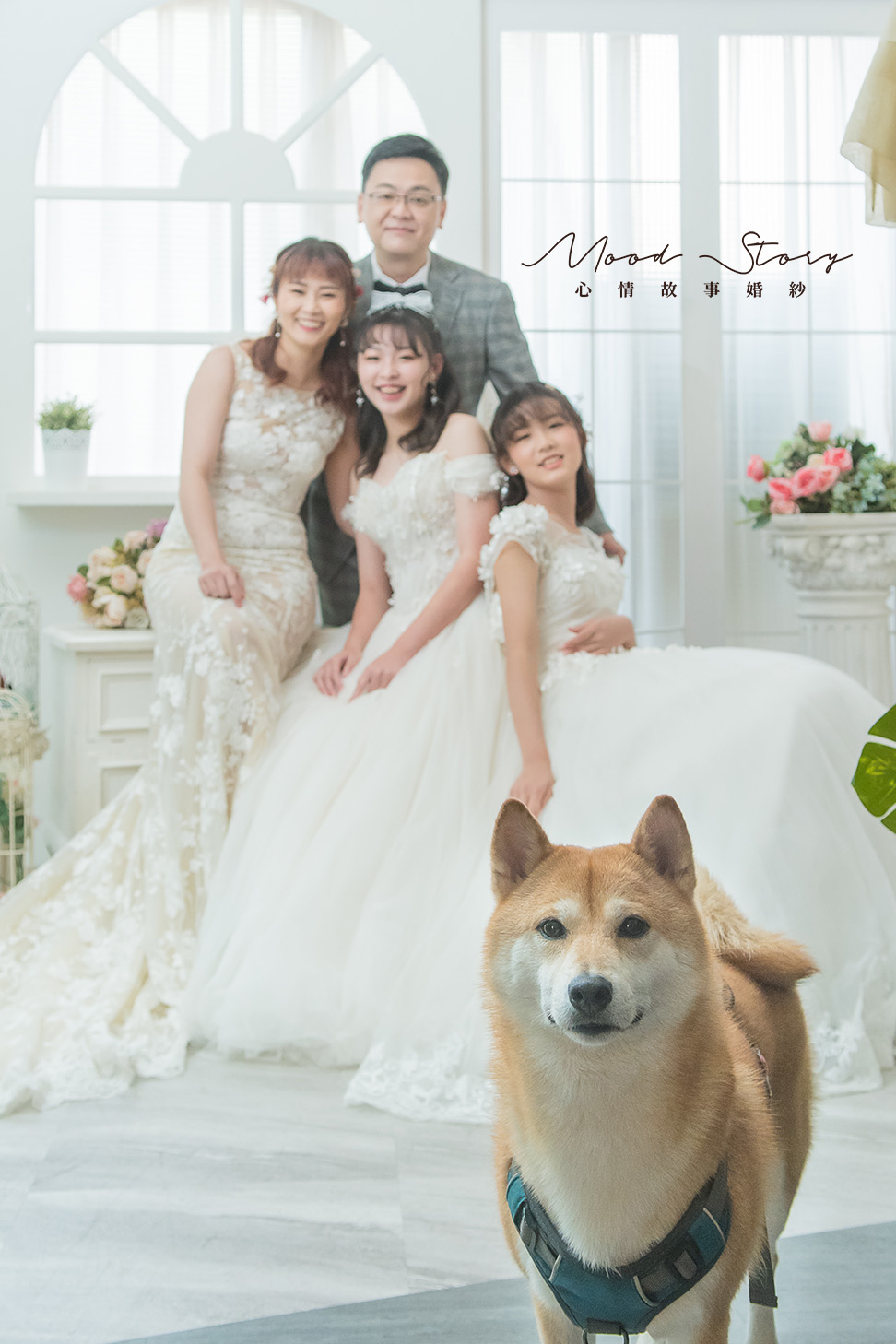 高雄全家福攝影，室內白背景與柴犬入鏡的一家人幸福合照｜Mood Story